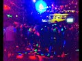 tiger disco tiger disco
