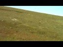 Ducati: Many Roads of Canada - The Irish Loop