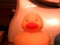 videos de The Primary Ducks - Life Stories :)