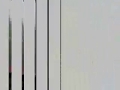 EBKT - EHSE