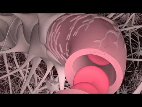 how to get more blood to the brain