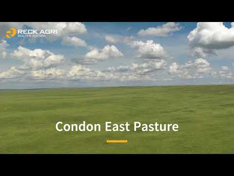 Condon East Pasture