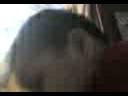 videos de luckas quiñando el ojo asu mama