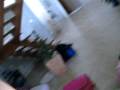 videos de fee o comentario do travesseiro ;)