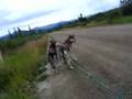 title="Bikejoring