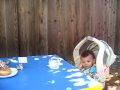 kaley corgi 6th birthday party (sept 18 08)