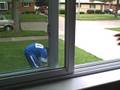 Nerf Wars: THE INDESTRUCTABLE