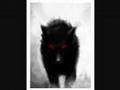 Wolves lost in darkness