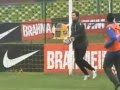 GOLEIROS SELEÇÃO BRASILEIRA