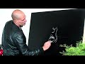 Bonsai Workshop mit Mauro by Merlin