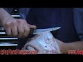 Beginners Taxidermy - Fleshing Part 5
