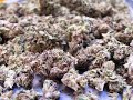 hemp-for-victory.html