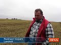 Ernte der Wintergerste: Landwirte im Wolfhager Land haben noch Hoffnung