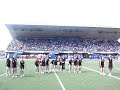 Cheerleaders des Carabins