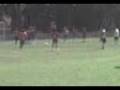 videos de Golazo del socio