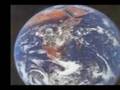 Free-bird-towards-a-