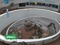 Museo Ciencias Naturales | Mundoinmobiliariotv.com