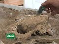 Museo Ciencias Naturales | Mundoinmobiliariotv.com