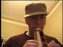 UKULELE + MELODICA - DUCK, YOU SUCKER!