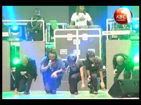 how to fertilize hyacinth