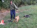 Hera und ihr Reifen