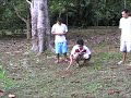Fire Ants Fire Ants