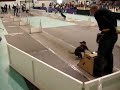 Mick's Dog Sports Flyball Team