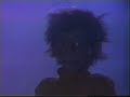 Search Video