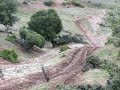 anifora Topolobas Patra