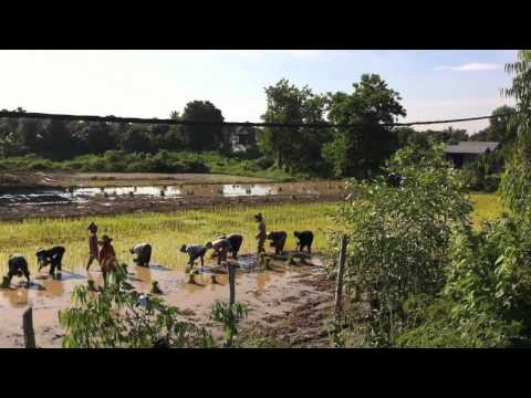 video: otrais velobrauciens