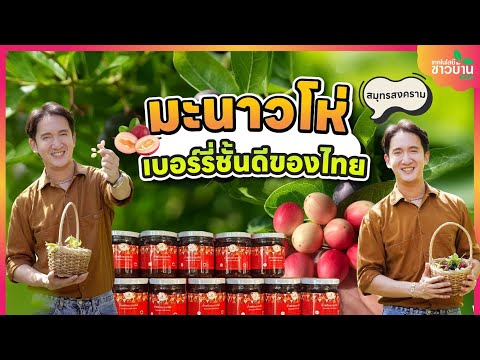 “มะนาวโห่” เบอร์รี่ชั้นดีของไทย | เทคโนโลยีชาวบ้าน