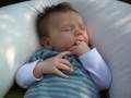 babyborrel