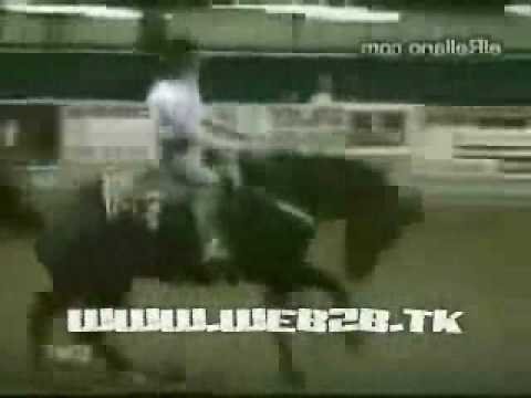 0 Caballos Graciosos