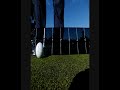 RIFE BALL ROLL.wmv