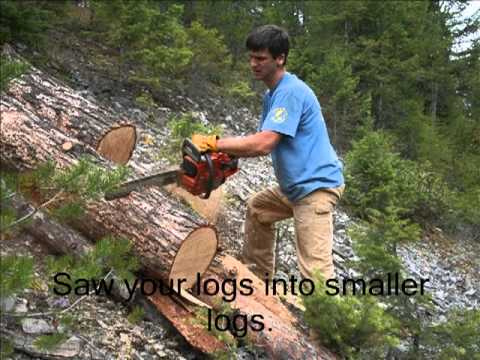 how to collect firewood