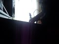 an unfinished song-another origonal