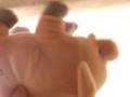 videos de Spider Pig