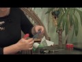 Paper Crafts  : How to Make a Paper Wallet