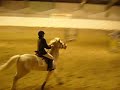 ecuries de crossey ecuries de crossey