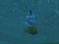 WoW - Chupathingy Race