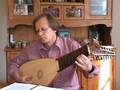 Johann-Sebastian Bach - Allemande (Bwv 1007) - Baroque Lute