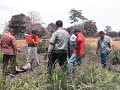 pierden la vida  empleados en balancan tabasco
