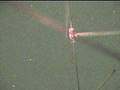 videos de zona radial OVNI 19/11/2008 bs.as 10h;01