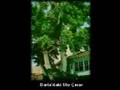 �stad said nursi aziz �stad�m benim