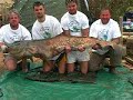 CASPE catfish catfishing river ebro WWW.CARPDREAMFISHING.COM CASPE catfish catfishing river ebro WWW.CARPDREAMFISHING.COM