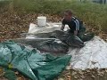 CASPE catfish catfishing river ebro WWW.CARPDREAMFISHING.COM