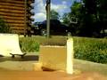 videos de fingerboard session