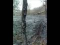 Bushfire: Tribute