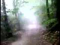 fuoristrada sui colli euganei in mountain bike