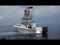 The Osa Peninsula has some of the hottest offshore fishing action in the world. Fish the Osa Peninsula for blue marlin, black marlin and stripped marlin. Visit: www.aguadulcelodge.com